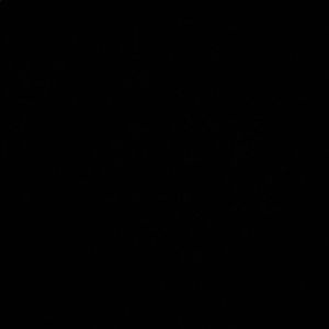 Meet your Posher, Michaela